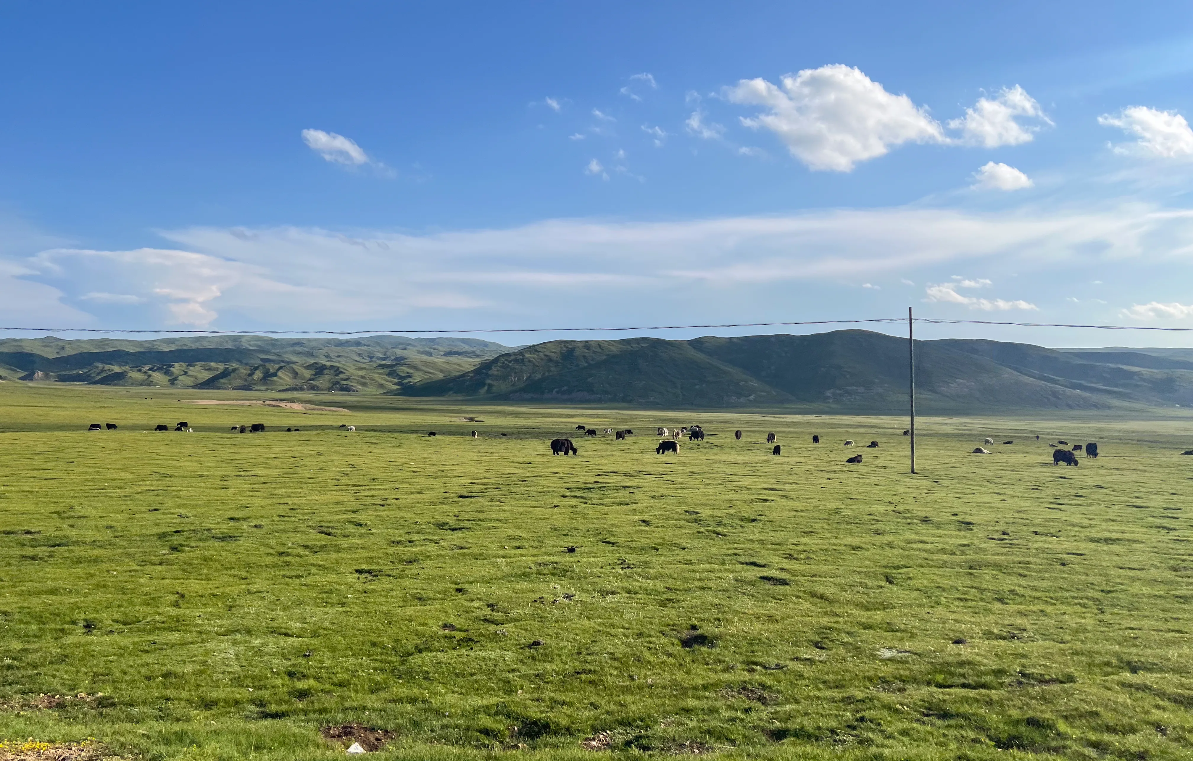 沿路山谷之间的草原、牛羊