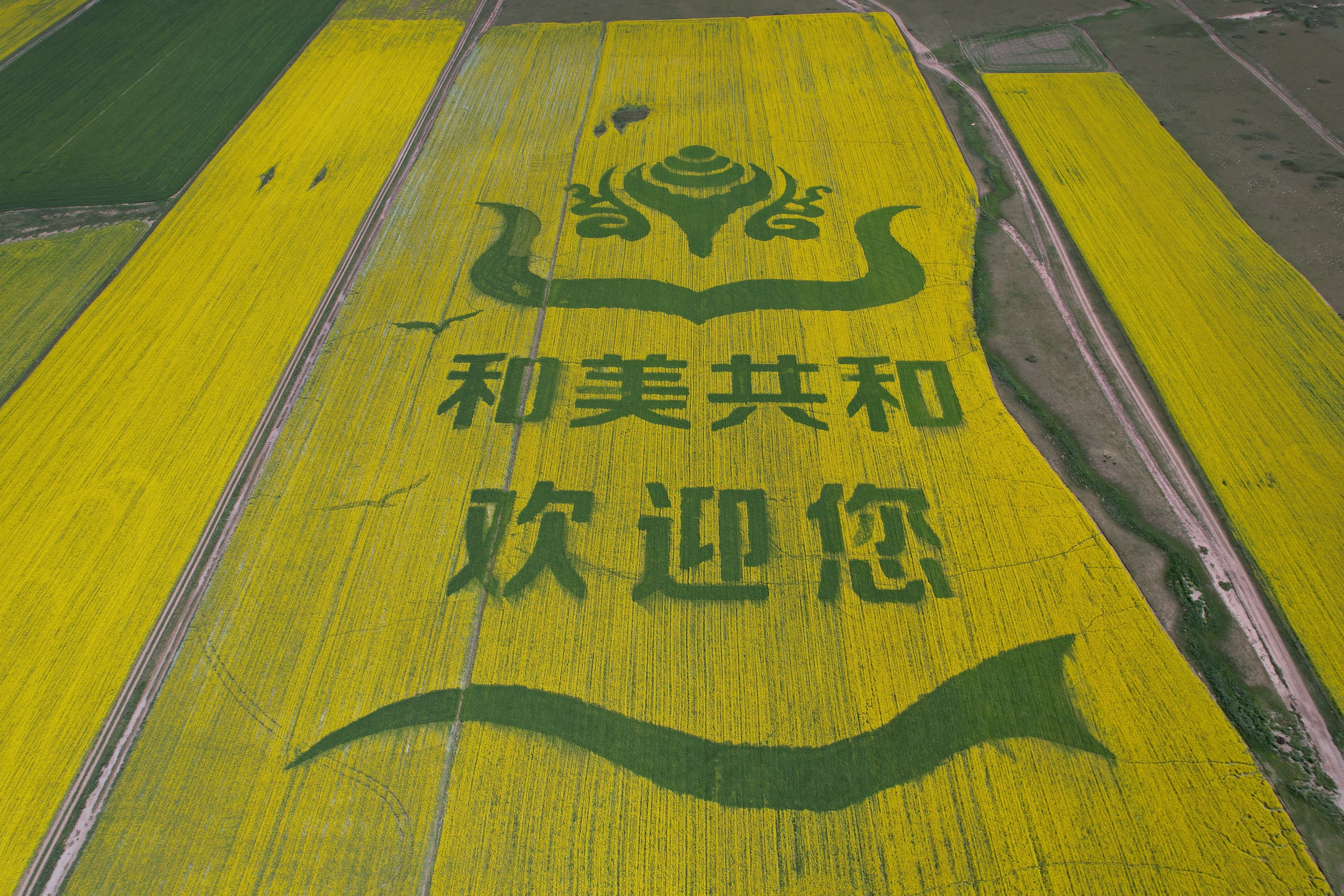 和美共和欢迎您