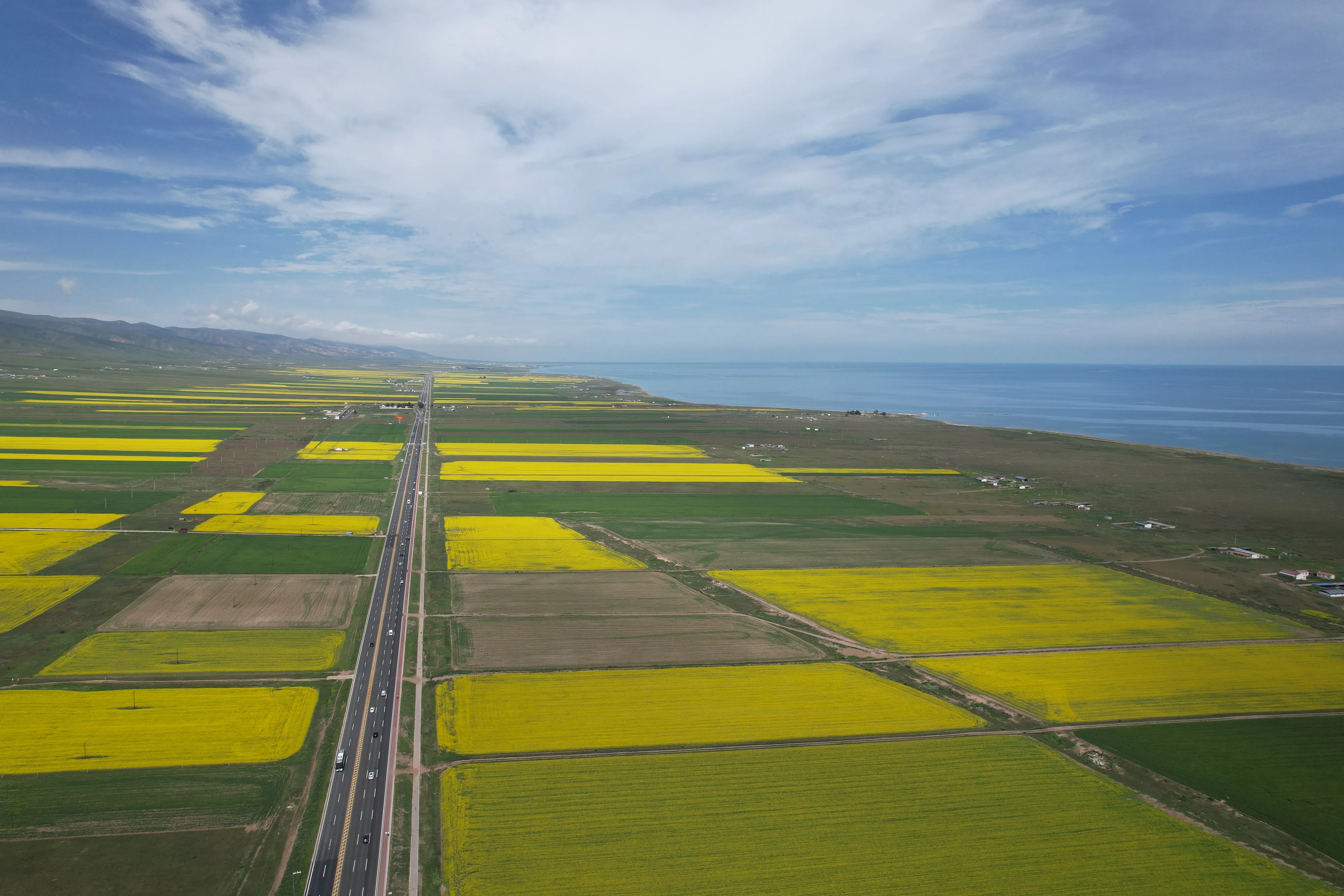 油菜花田和远处望不到边的青海湖