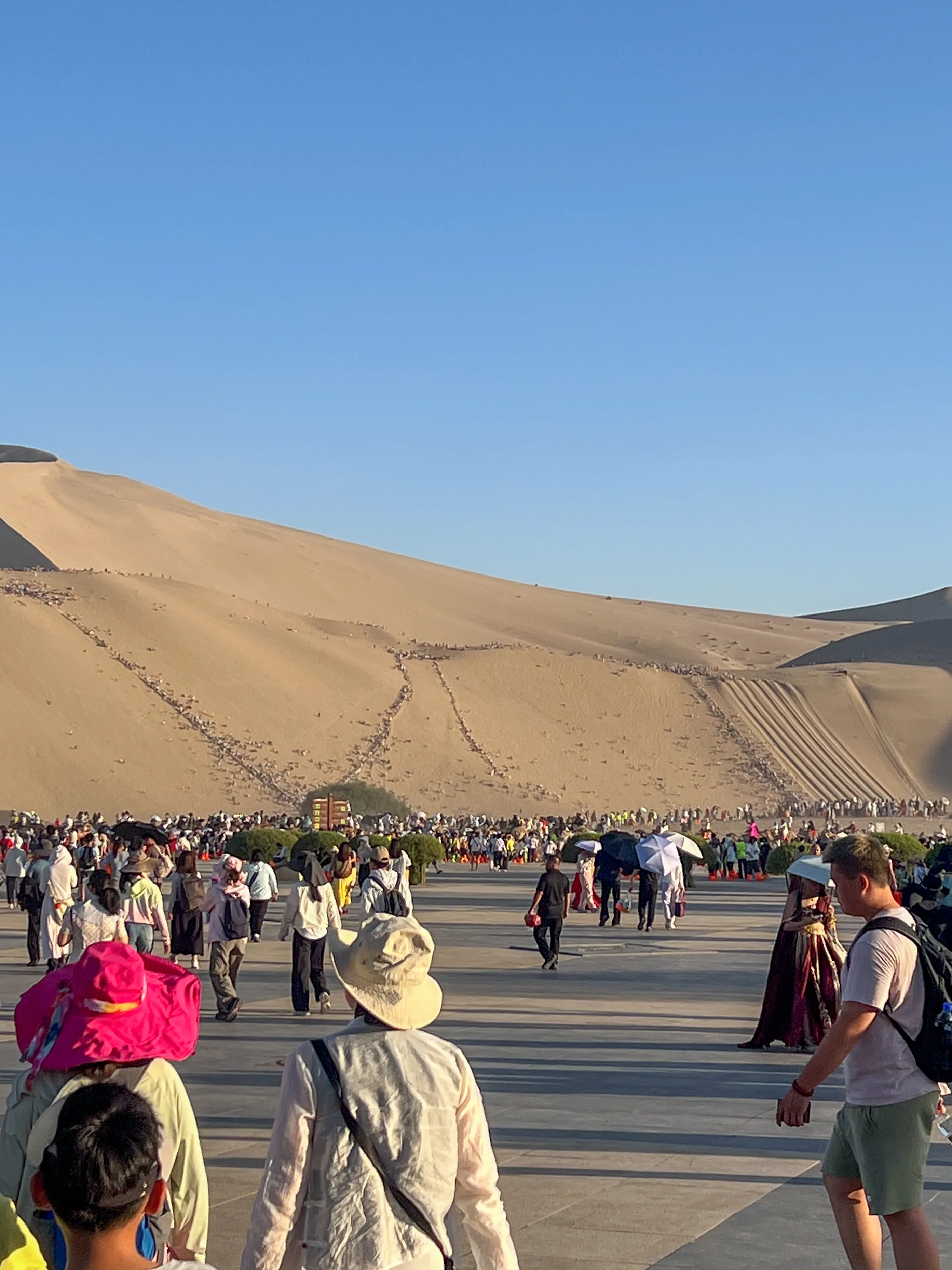 接着往前走就可以看到山上密密麻麻的人