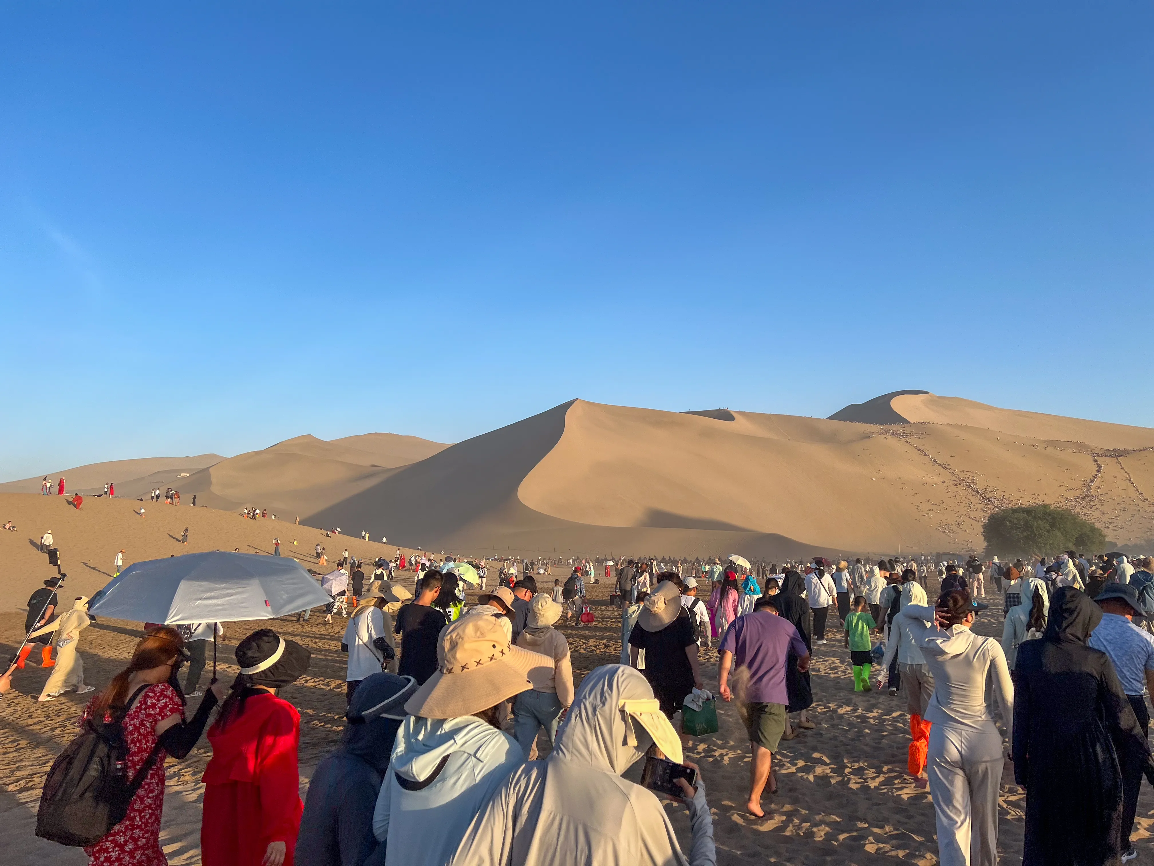 有一点 MacOS Mojave 的感觉