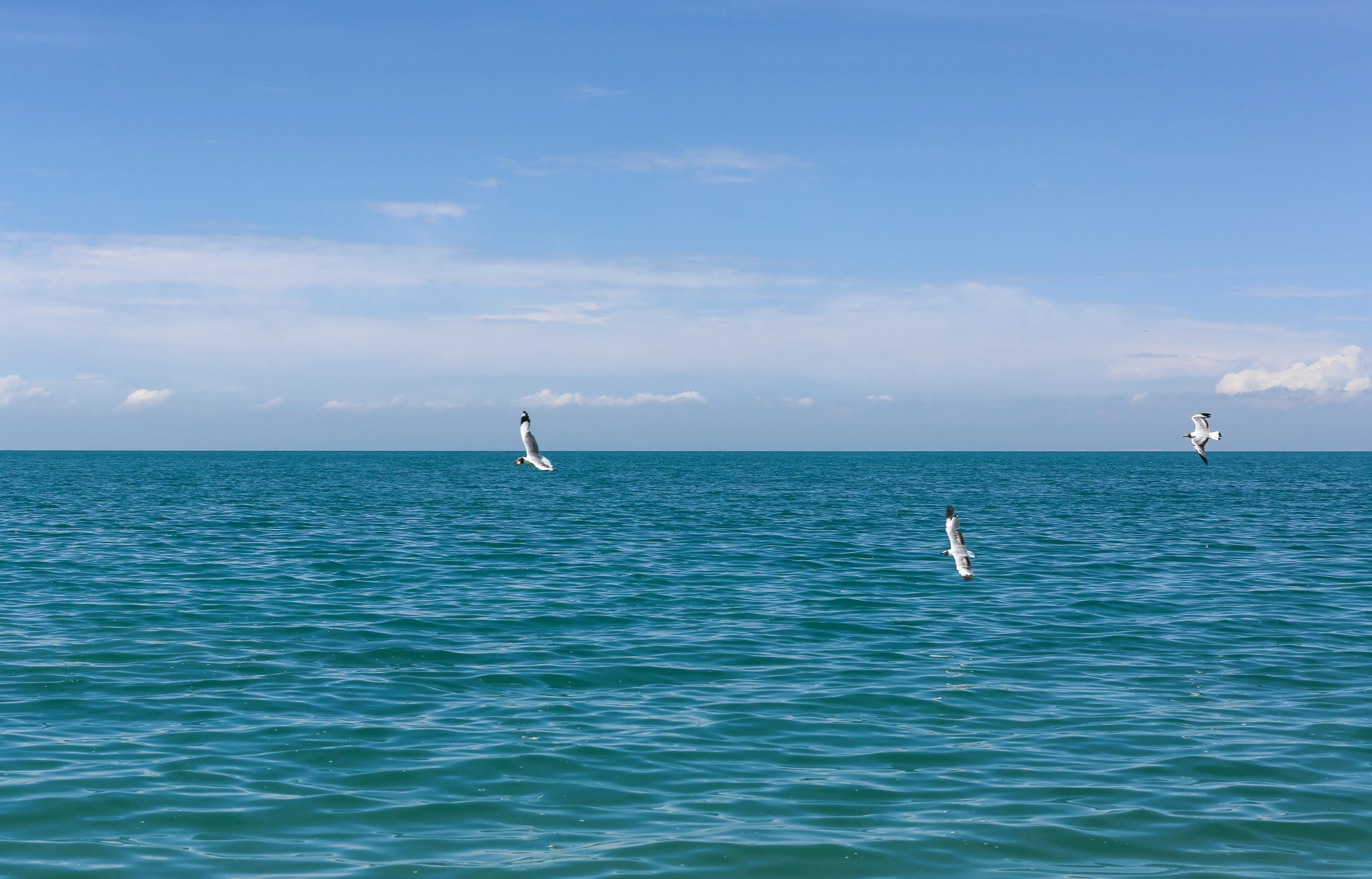 半岛以北的青海湖