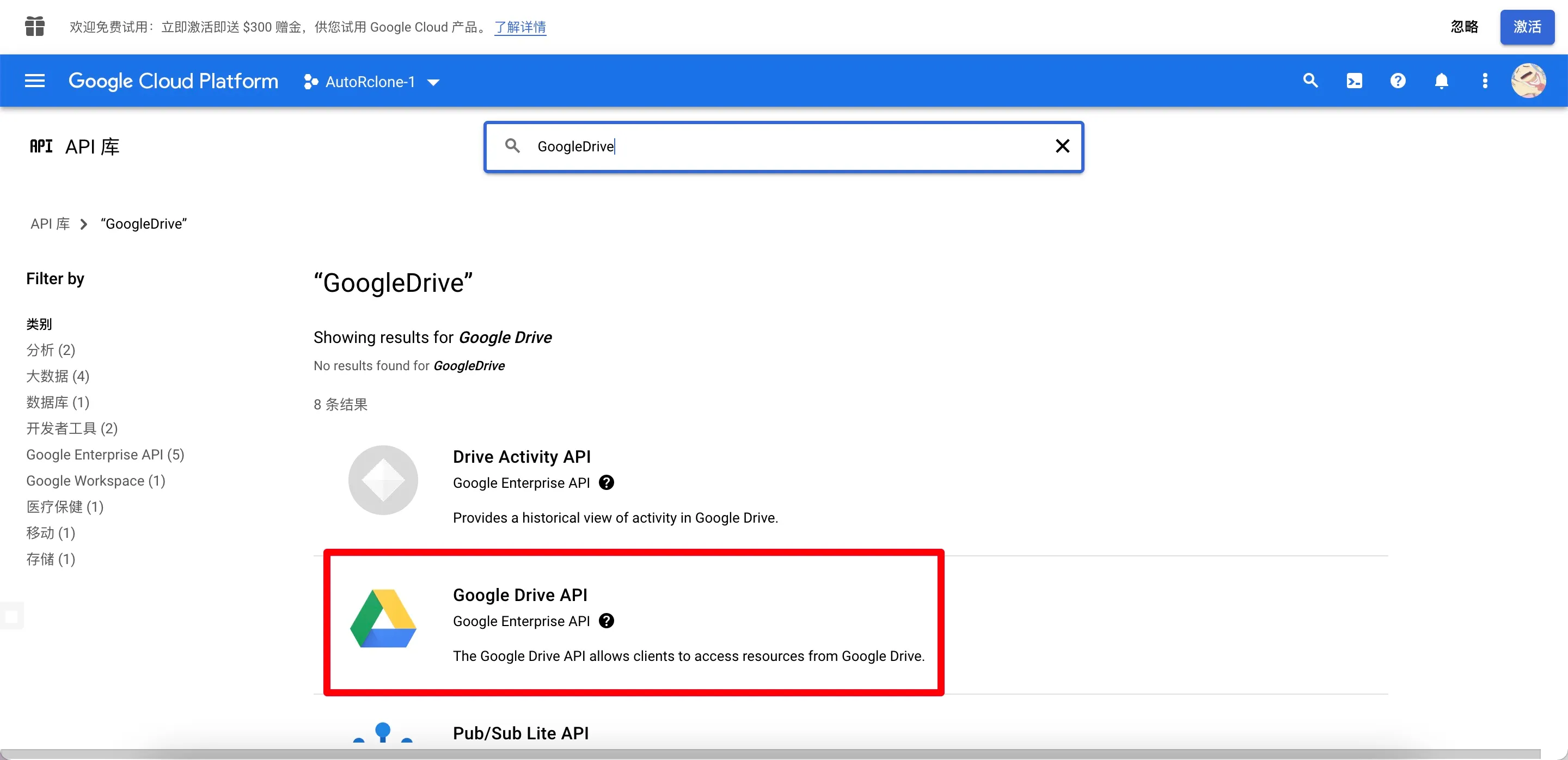 启用 GoogleDrive API